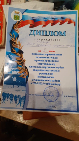 Районные соревнования по лыжным гонкам.